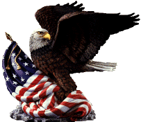 PatrioticEagleFlagFrmAngelfireSandi.gif